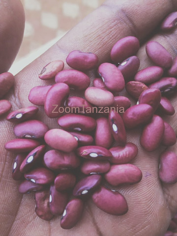 Maharage Mekundu Madogo - 2/2