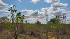 50 Acre Land for Sale in Bagamoyo Pwani
