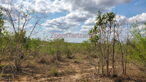 50 Acre Land for Sale in Bagamoyo Pwani - 2/5