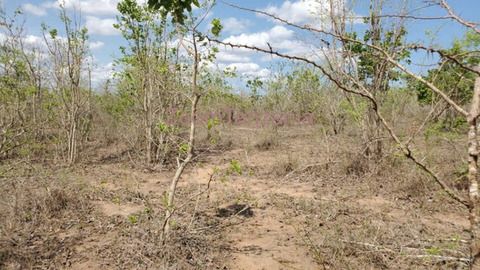 50 Acre Land for Sale in Bagamoyo Pwani - 3/5
