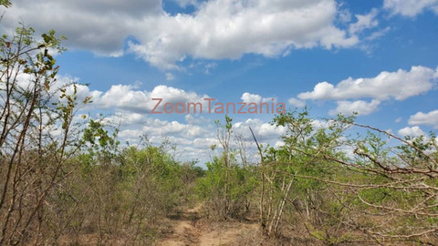 50 Acre Land for Sale in Bagamoyo Pwani - 4/5
