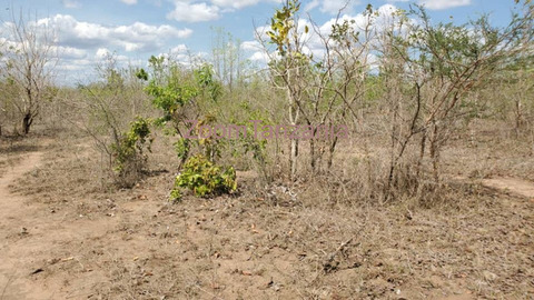 50 Acre Land for Sale in Bagamoyo Pwani - 5/5
