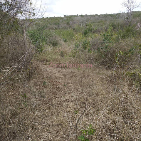 20 Acre Land For Sale Pwani, Bagamoyo - 1/3