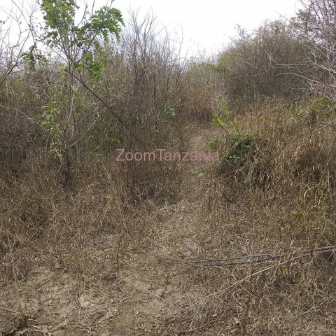 20 Acre Land For Sale Pwani, Bagamoyo - 2/3