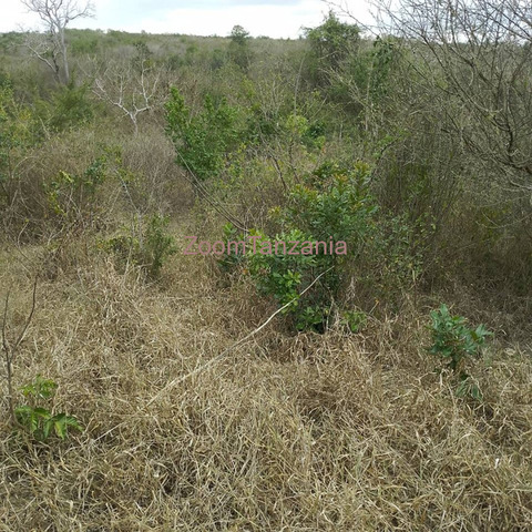 20 Acre Land For Sale Pwani, Bagamoyo - 3/3