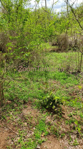 Shamba Eka 50 Linauzwa Kiwangwa Bagamoyo - 3/3