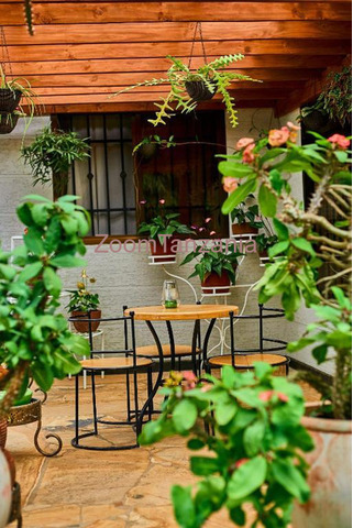 Luxury Apartments For Rent Arusha - 4/4