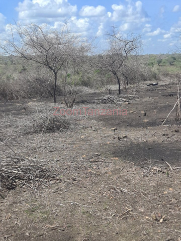 Shamba Eka 40 Linauzwa Kiwangwa Bagamoyo Pwani