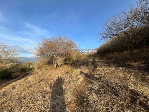 Kiwanja cha Eka 5 Kinauzwa Ngaramtoni Arusha - 3/6