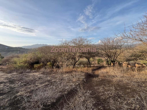 Kiwanja cha Eka 5 Kinauzwa Ngaramtoni Arusha - 4/6