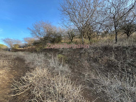 Kiwanja cha Eka 5 Kinauzwa Ngaramtoni Arusha - 5/6