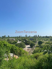 Kiwanja cha Ufukweni cha 4,000 Square Metre Kinauzwa Kaole Bagamoyo