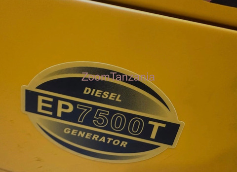 Easy Power Diesel Generator EP7500T