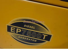 Easy Power Diesel Generator EP7500T