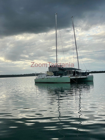 Catamaran Boat 2024 - 1/5