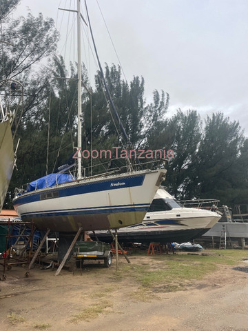 Catamaran Boat 2024 - 3/5