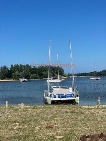 Catamaran Boat 2024 - 4/5