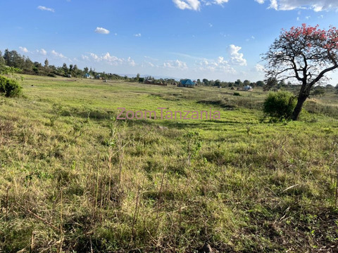 22 Acres Land for Sale at Kidire, King'ori, Arusha - 3/3