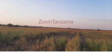 Kiwanja cha Ekari 135.927 Kinauzwa Mbuyu wa Mjerumani, Mkoa wa Manyara - 1/3