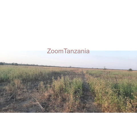 Kiwanja cha Ekari 135.927 Kinauzwa Mbuyu wa Mjerumani, Mkoa wa Manyara - 2/3