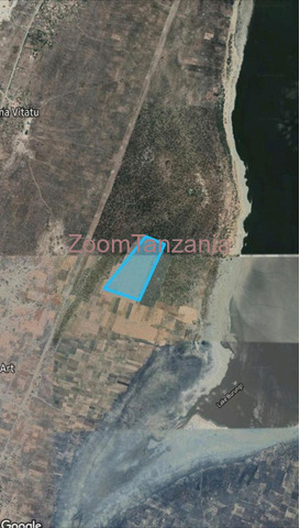 Kiwanja cha Ekari 135.927 Kinauzwa Mbuyu wa Mjerumani, Mkoa wa Manyara - 3/3