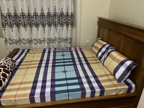 Fully Furnished 4-Bedroom House for Rent in Moshono, Arusha - 6/6