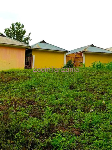 Jengo la Vyumba 56 vya Kupangisha Linauzwa Momela, Barabara ya Hifadhi ya Taifa ya Arusha - 3/6