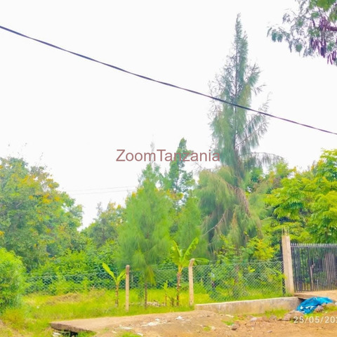 Kiwanja cha SQM 400 Kinauzwa Njiro Climax - 3/5