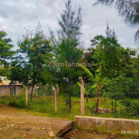 Kiwanja cha SQM 400 Kinauzwa Njiro Climax - 4/5