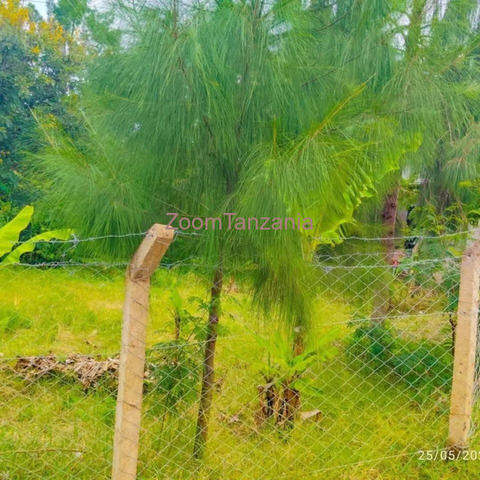 Kiwanja cha SQM 400 Kinauzwa Njiro Climax - 5/5