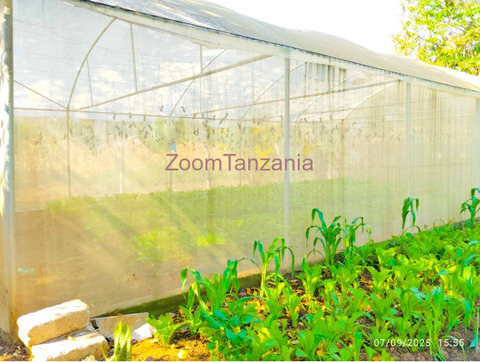 Kiwanja cha SQM 500 Kinauzwa chenye Greenhouse, Vyumba 2, Mifereji ya Maji, Tangi na Uzio