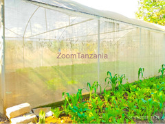Kiwanja cha SQM 500 Kinauzwa chenye Greenhouse, Vyumba 2, Mifereji ya Maji, Tangi na Uzio