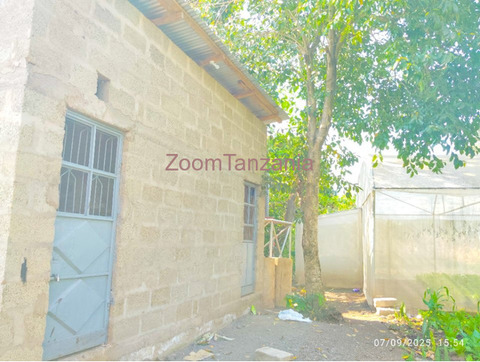 Kiwanja cha SQM 500 Kinauzwa chenye Greenhouse, Vyumba 2, Mifereji ya Maji, Tangi na Uzio - 2/2