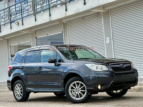 2014 Subaru Forester Gray - 6/6