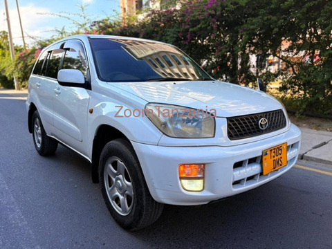 2002 Toyota RAV4 Kill Time White - 1/6