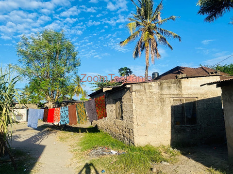 Eneo 1700 SQM linauzwa Tegeta Namanga Barabarani - 2/5