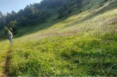 Mashamba Yanauzwa Ekari 2000