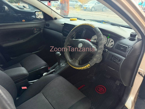 2004 Toyota Allex Gold for Sale - 2/6