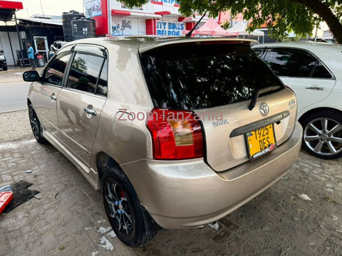 2004 Toyota Allex Gold for Sale - 3/6