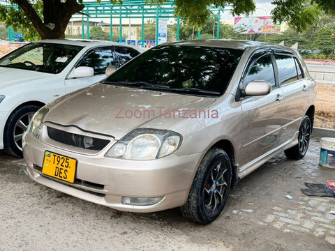 2004 Toyota Allex Gold for Sale - 4/6