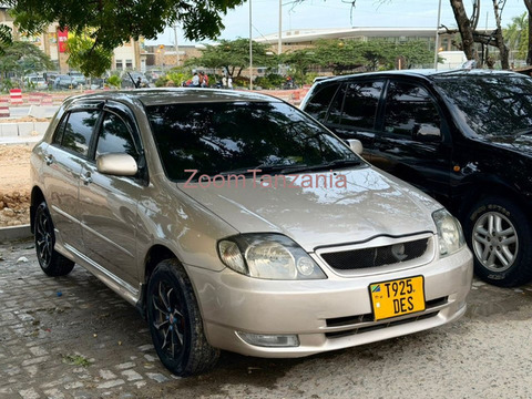 2004 Toyota Allex Gold for Sale - 5/6
