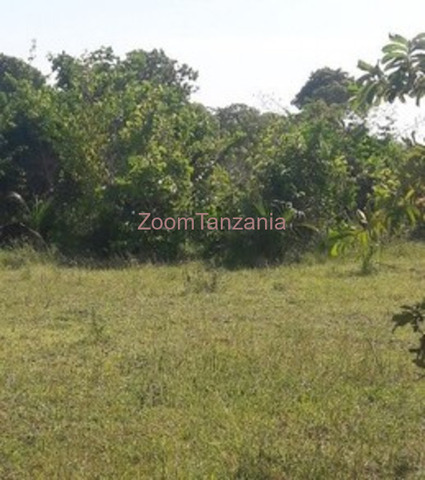Land 400 To 600 SQM In Kelege Matumbi for Sale