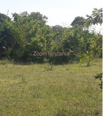 Land 400 To 600 SQM In Kelege Matumbi for Sale