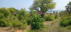 Beach Plot 4077 SQM Mbutu for Sale