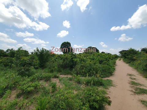 Plot 400 SQM Visiga-Madafu for Sale - 2/6