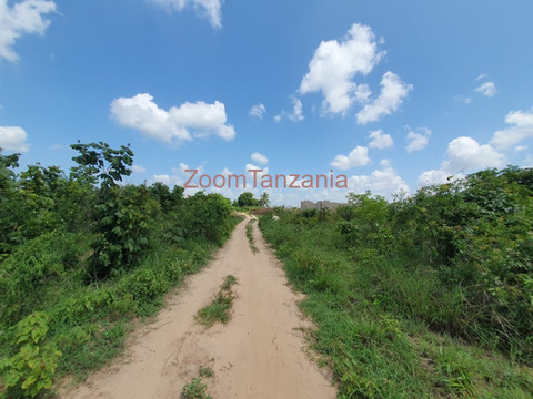 Plot 400 SQM Visiga-Madafu for Sale - 3/6