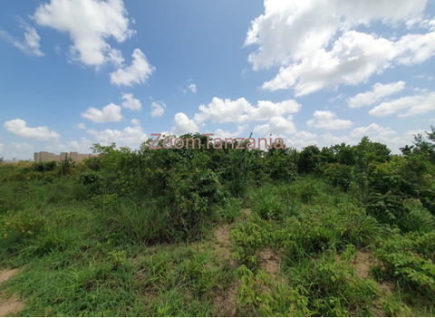 Plot 400 SQM Visiga-Madafu for Sale - 4/6