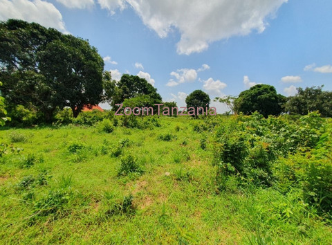 Plot 400 SQM Visiga-Madafu for Sale - 5/6