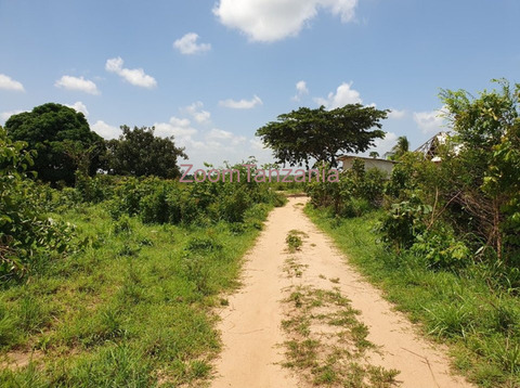 Plot 400 SQM Visiga-Madafu for Sale - 6/6