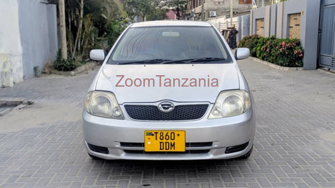 2002 Toyota Allex for Sale - 1/6